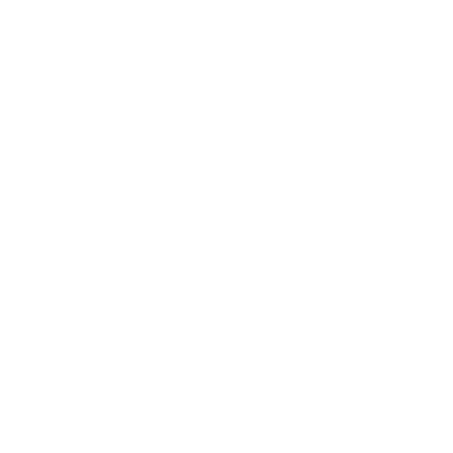 Pacific Tide Logo