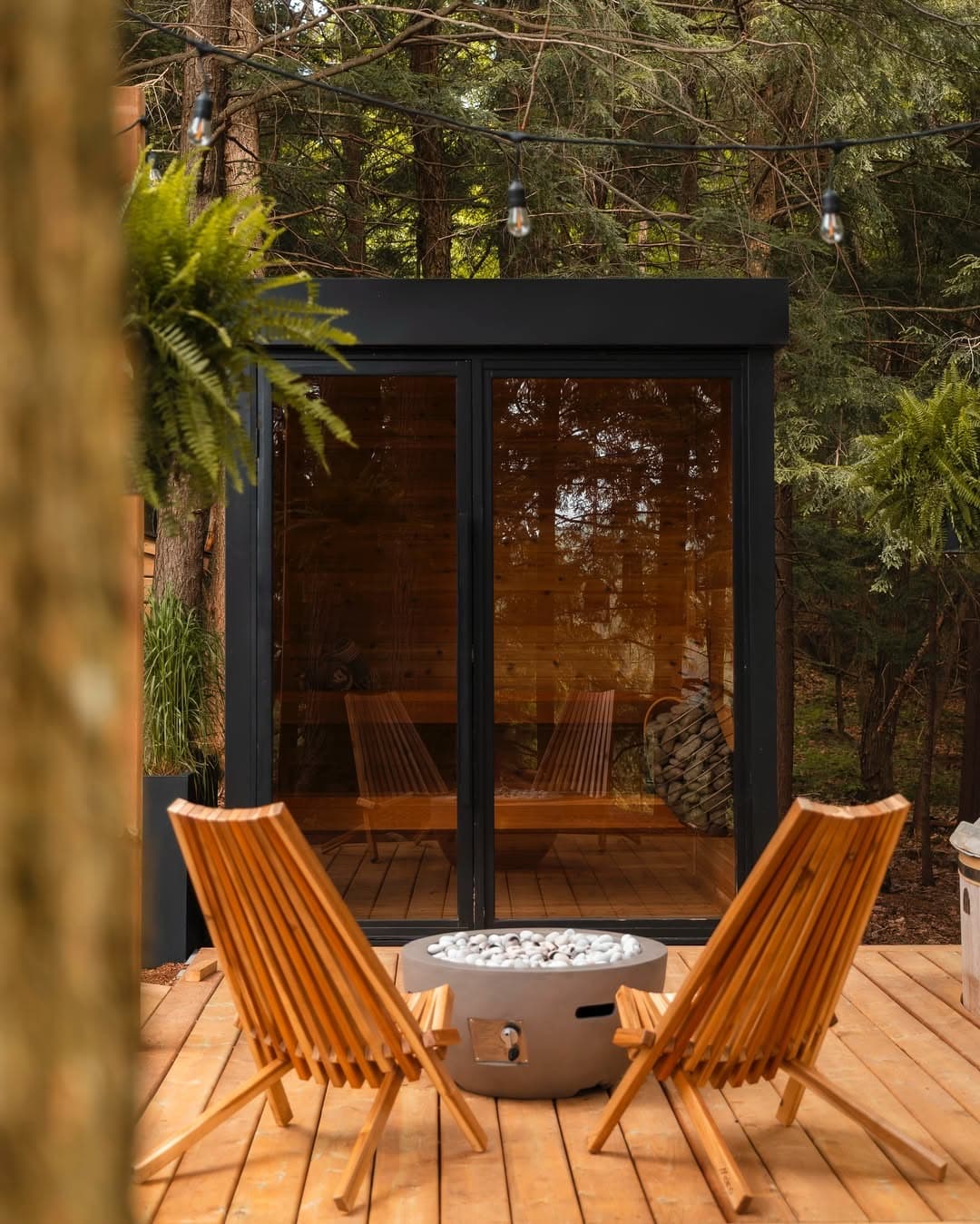 Sauna Studio Background